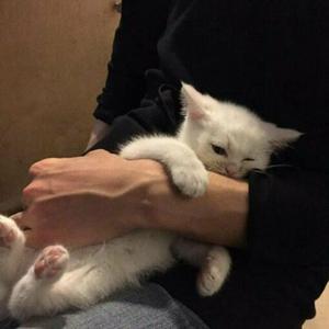 给我放一块北京的操逼小视频免费的不要钱的
